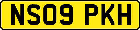 NS09PKH