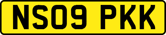 NS09PKK