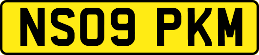 NS09PKM