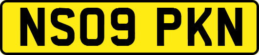NS09PKN