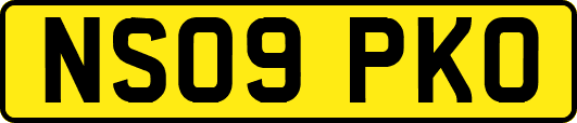NS09PKO