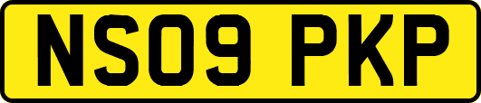 NS09PKP