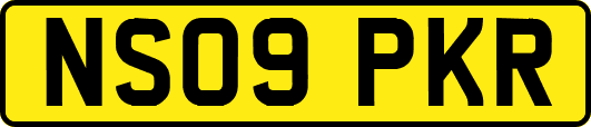 NS09PKR