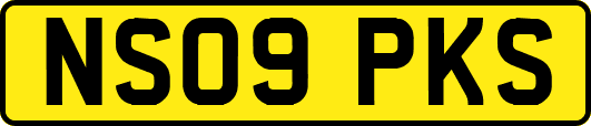 NS09PKS