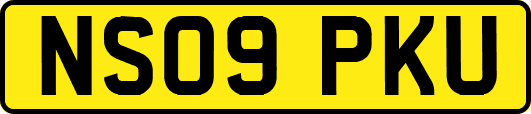 NS09PKU