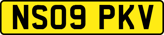 NS09PKV