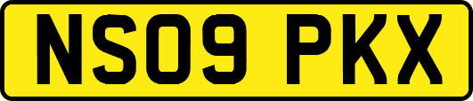 NS09PKX