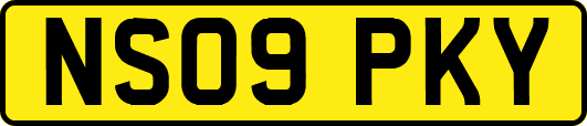 NS09PKY