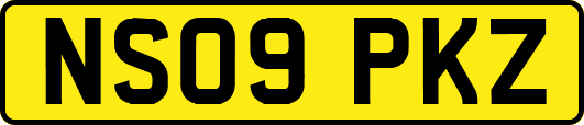 NS09PKZ
