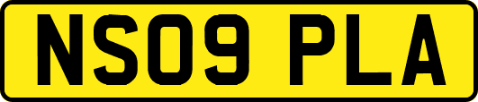 NS09PLA