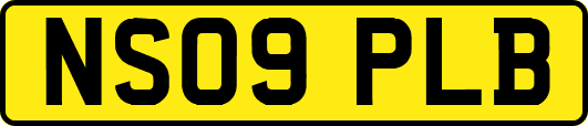 NS09PLB