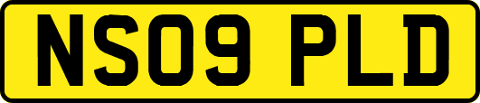 NS09PLD