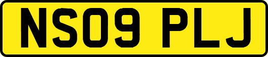 NS09PLJ