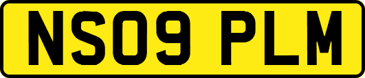 NS09PLM