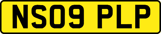 NS09PLP