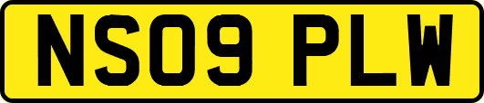 NS09PLW