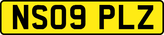 NS09PLZ