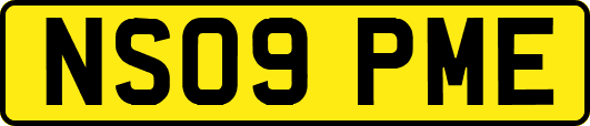 NS09PME