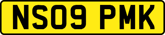 NS09PMK