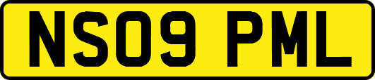 NS09PML