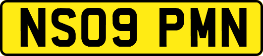NS09PMN