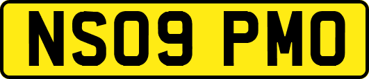 NS09PMO