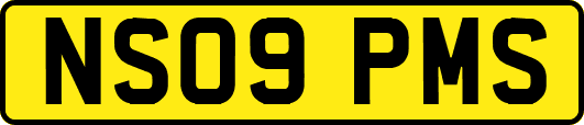 NS09PMS