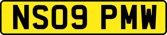 NS09PMW