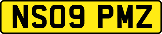 NS09PMZ