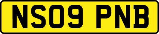 NS09PNB