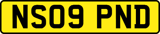 NS09PND
