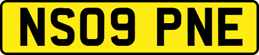 NS09PNE