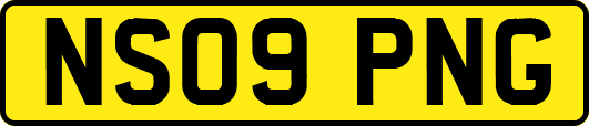 NS09PNG