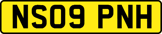 NS09PNH