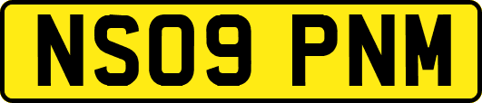 NS09PNM
