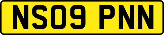 NS09PNN