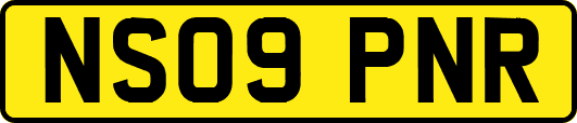 NS09PNR