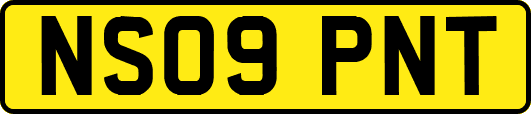NS09PNT