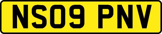 NS09PNV