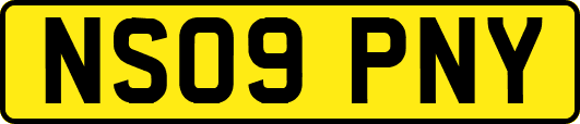 NS09PNY
