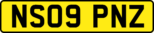 NS09PNZ