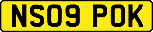 NS09POK