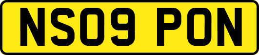 NS09PON