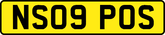 NS09POS