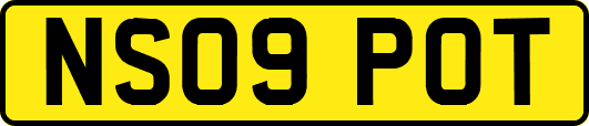 NS09POT