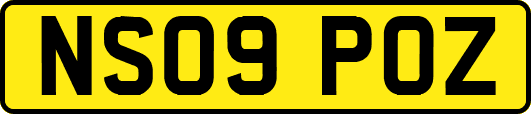 NS09POZ
