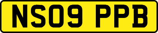 NS09PPB