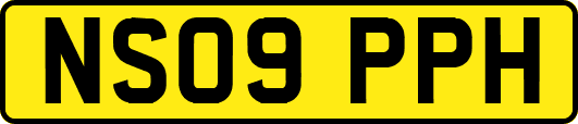 NS09PPH