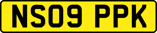 NS09PPK