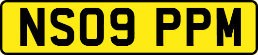 NS09PPM